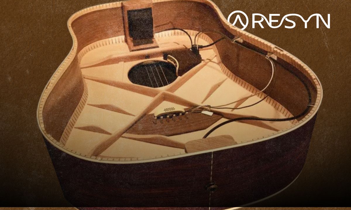 Acoustic Guitar Pickups Explained: Types, Installation, and How to Choose