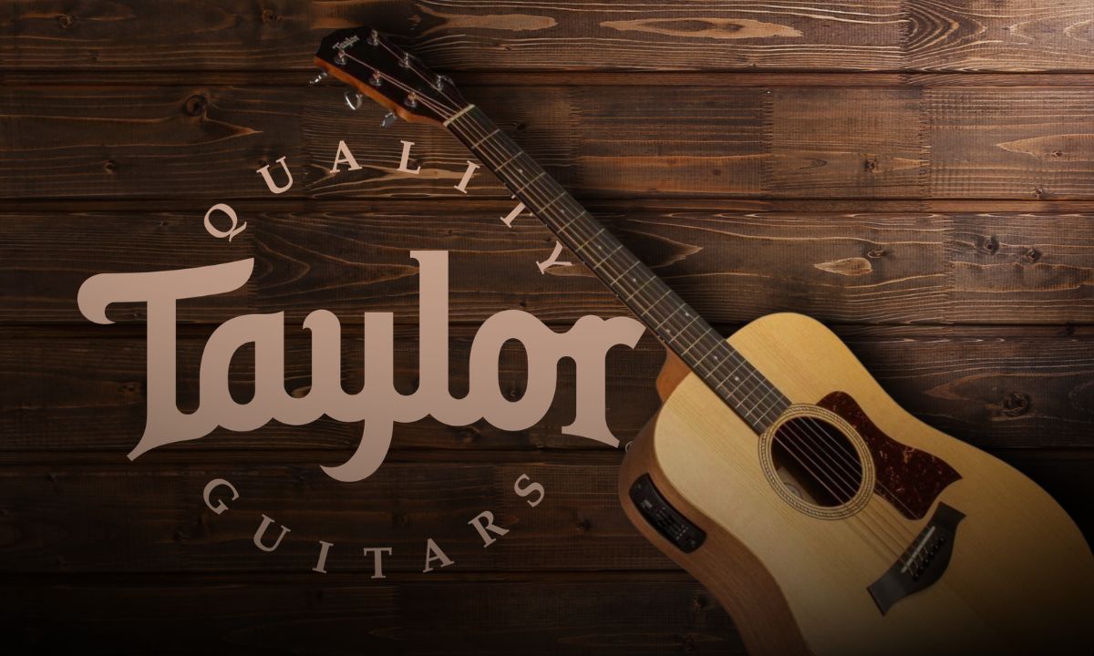 taylor 110e review
